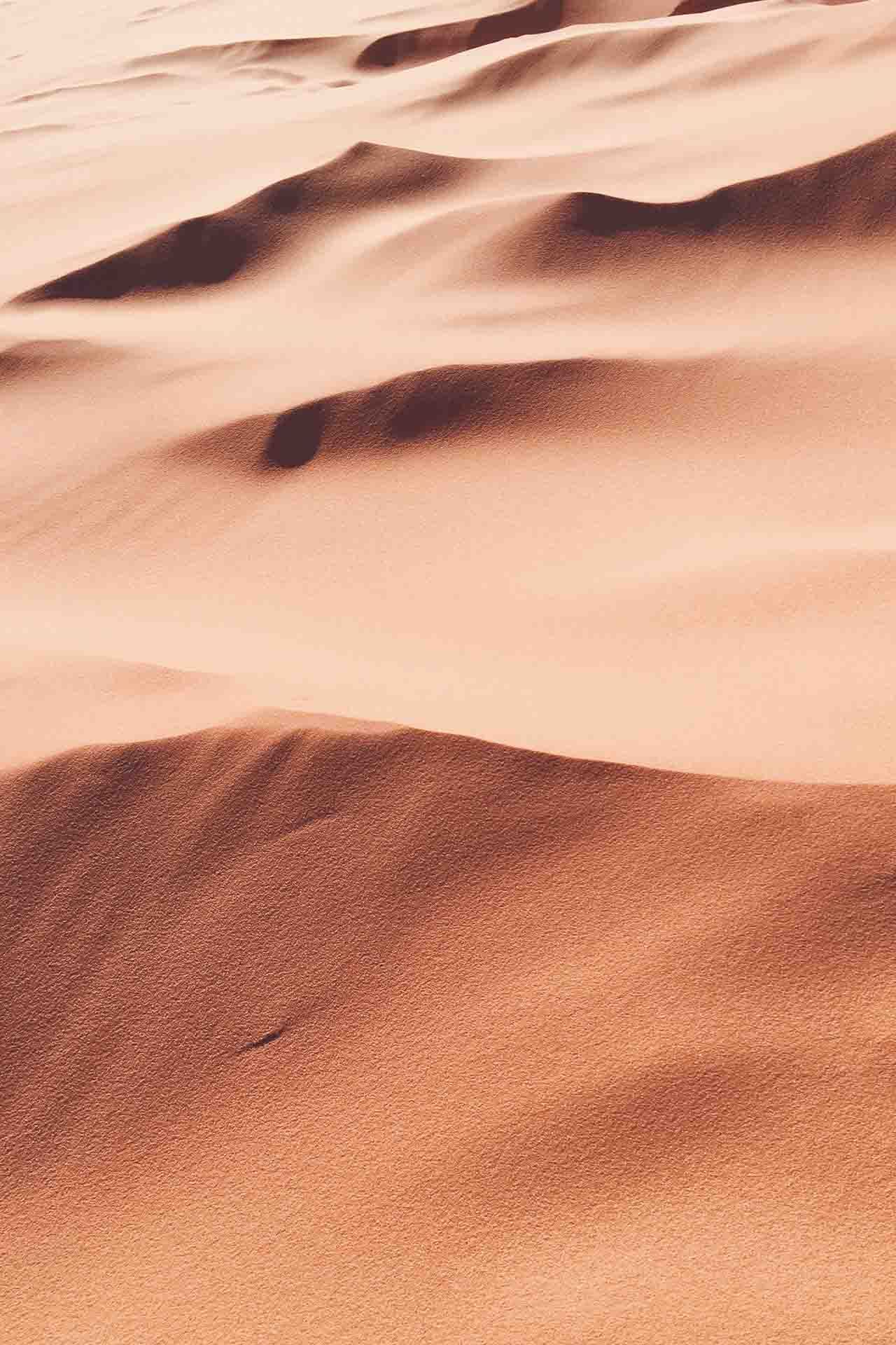 Zo verzorg je een droge huid woestijn