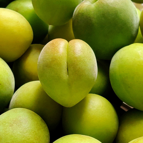 Kakadu Plum vrucht-die-meer-vitamine-c-bevat-dan-een-sinaasappel