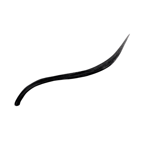 Swatch van de Jane Iredale Liquid Eyeliner Black met een strakke zwarte lijn.