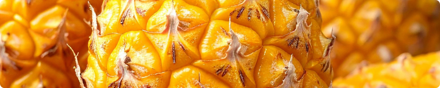 Close-up van de textuur van een verse ananas, de bron van het enzym bromelaïne dat in hannah producten wordt gebruikt.